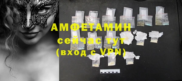 мдпв Елабуга