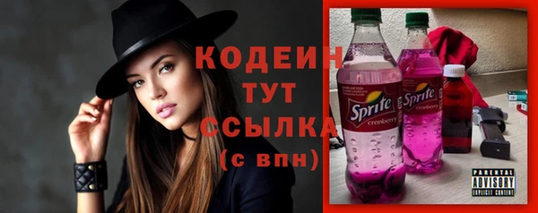 мдпв Елабуга