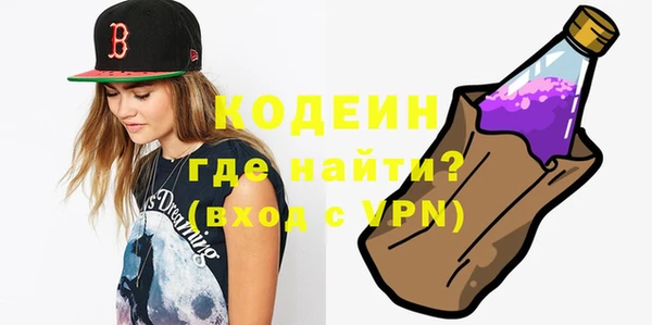 мдпв Елабуга