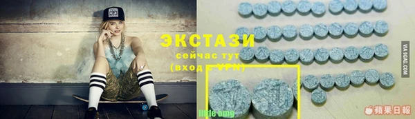 мдпв Елабуга