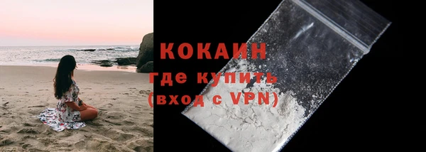 мдпв Елабуга
