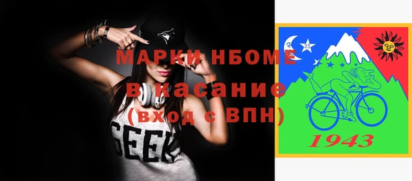 мдпв Елабуга