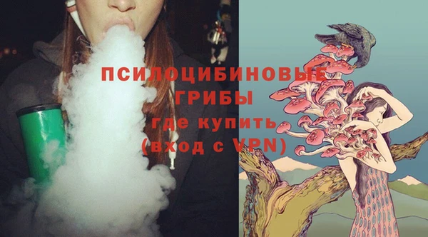 мдпв Елабуга