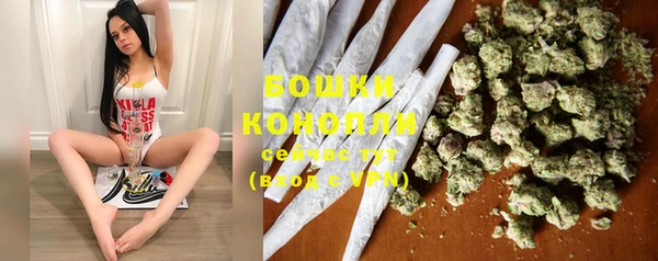 тгк Елизово