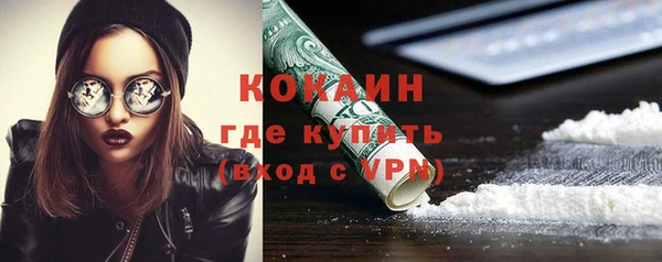 мдпв Елабуга