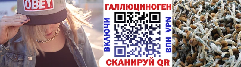Галлюциногенные грибы MAGIC MUSHROOMS  Купить закладки  Кушва 